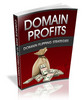 Thumbnail Domain Profits